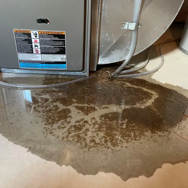 Appliance Leak Cleanup in Woodburn, IN